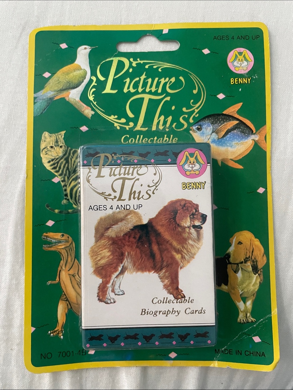 Picture This Collectable Biography Cards Vintage